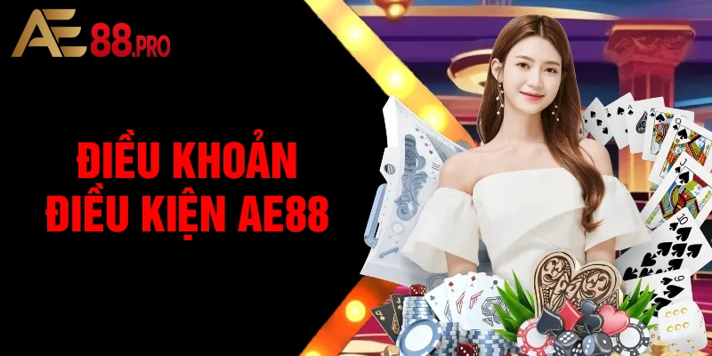Các nội dung chính trong điều khoản điều kiện AE88