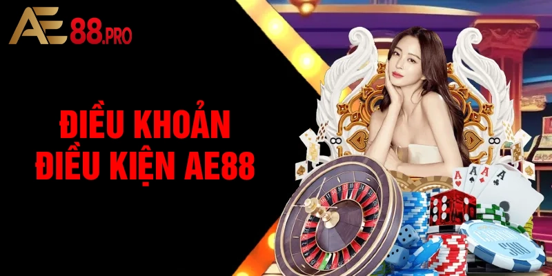 Hướng dẫn đọc và tuân thủ điều khoản điều kiện AE88