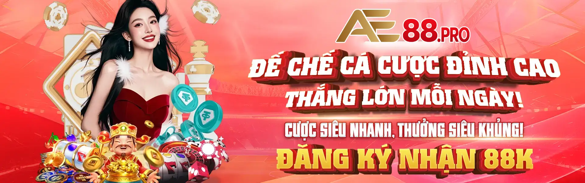 banner ae88