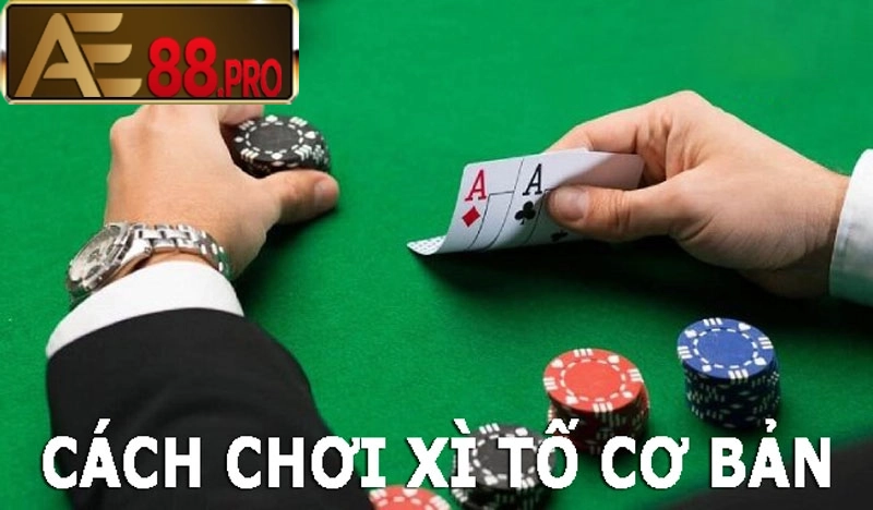 Cách chơi Xì tố dễ hiểu cho newbie