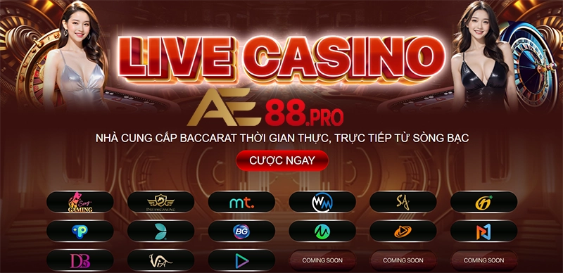 Chiến thuật chơi casino đỉnh cao cho người mới tại nhà cái AE88