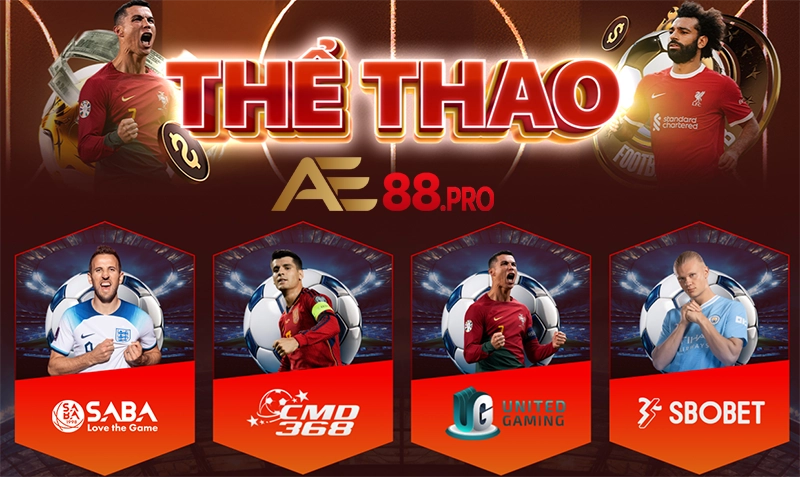 Các sảnh cá cược thể thao tại AE88 đáng chơi